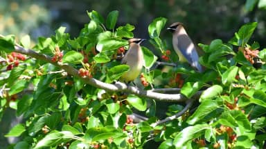 Alles vernünftige Investieren ist Value-Investing