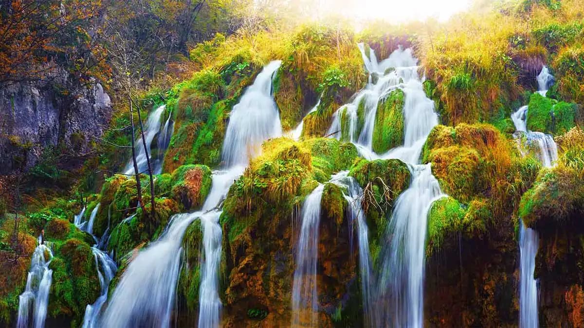 Aktives vs. passives Investieren Aktives vs. passives Investieren